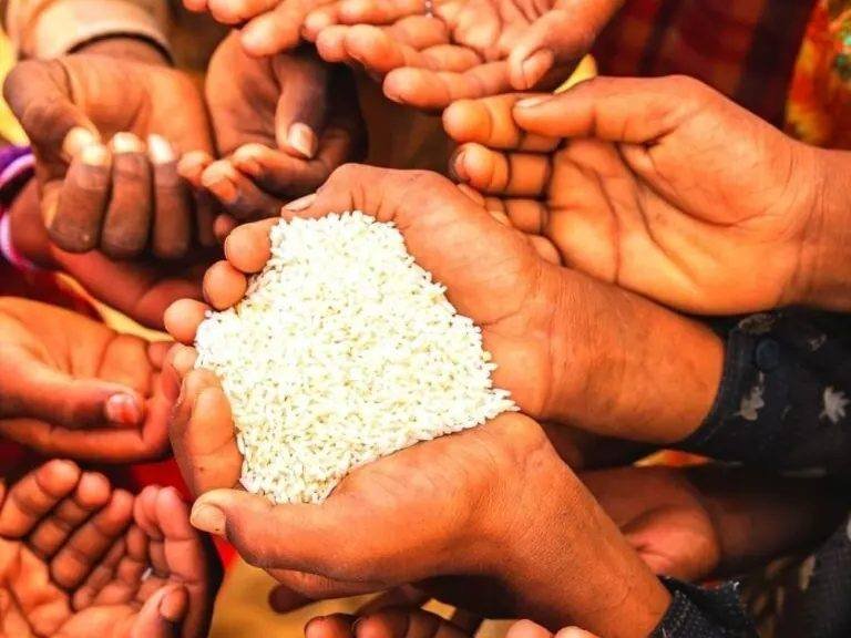 Mãos separando arroz para doação
